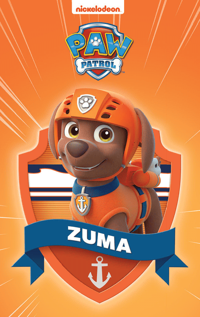 PAW Patrol Pup Pack 4 PAW Patrol Pup Pack
